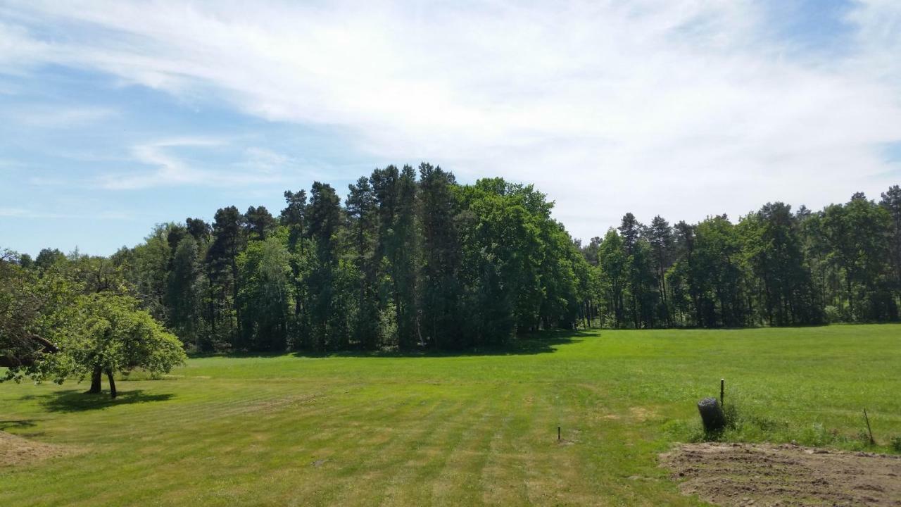 Ferienwohnung Am Weinberg Bad Schmiedeberg Exterior foto